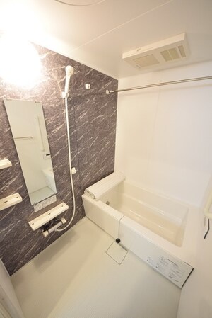 Ritz Solius Southwingの物件内観写真